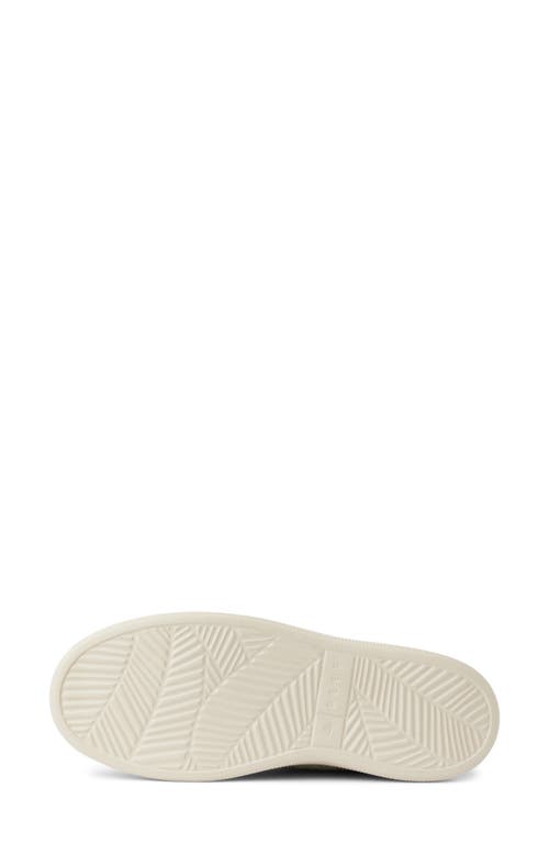 Reef Neptune Knit Sneaker In Green