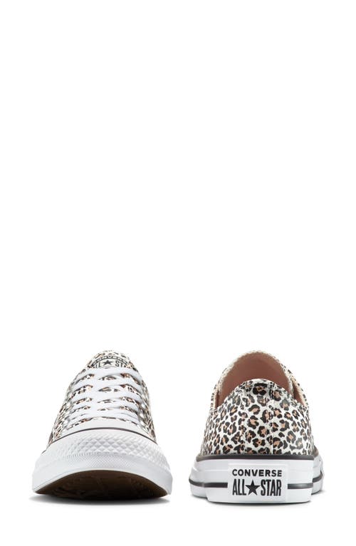 Converse Gender Inclusive Chuck Taylor All Star Leopard Spot Canvas Low Top Sneaker In Animal Print