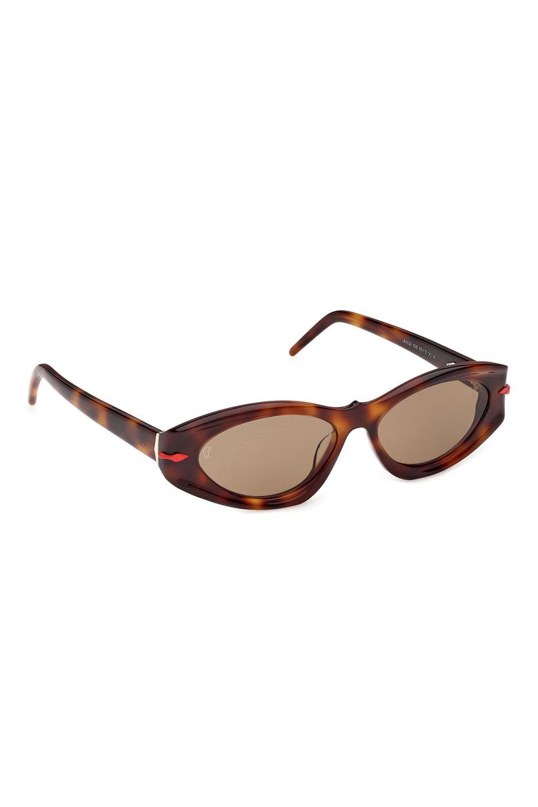 55mm Cat Eye Sunglasses, Alternate, color, CLASSIC HAVANA / GOLD / ZEISS
