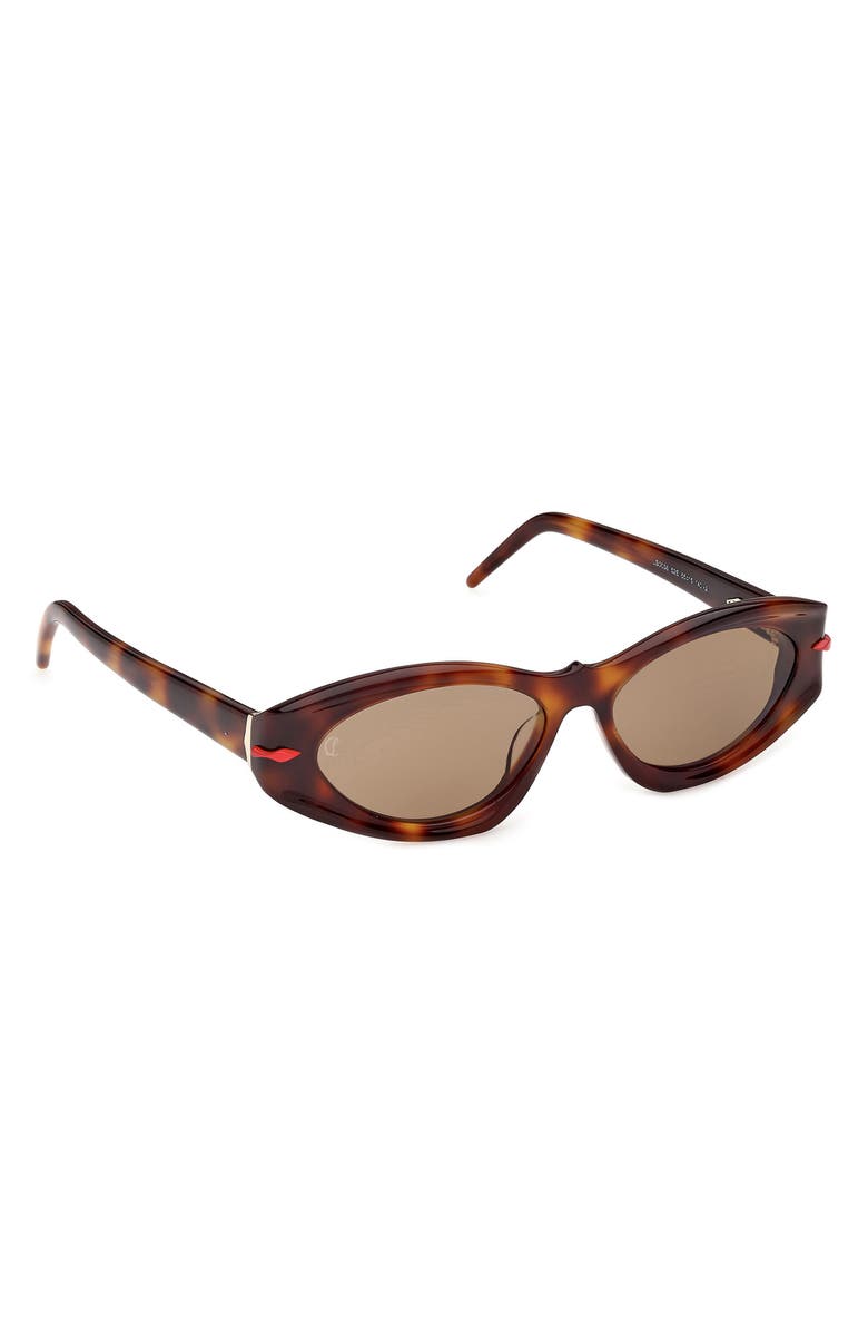 Christian Louboutin 55mm Cat Eye Sunglasses, Alternate, color, Classic Havana / Gold / Zeiss