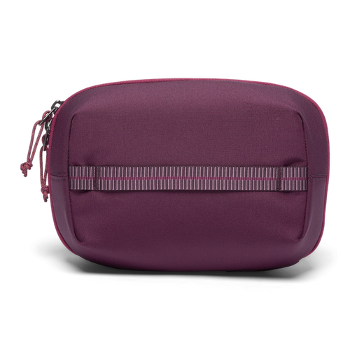 Cotopaxi Viaje Tech Organizer In Purple
