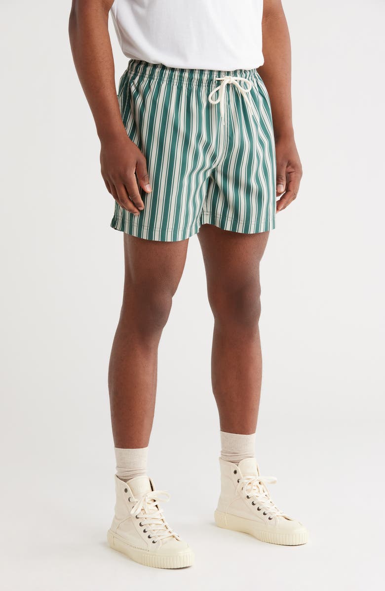 PacSun Maldives Stripe Swim Trunks, Alternate, color,