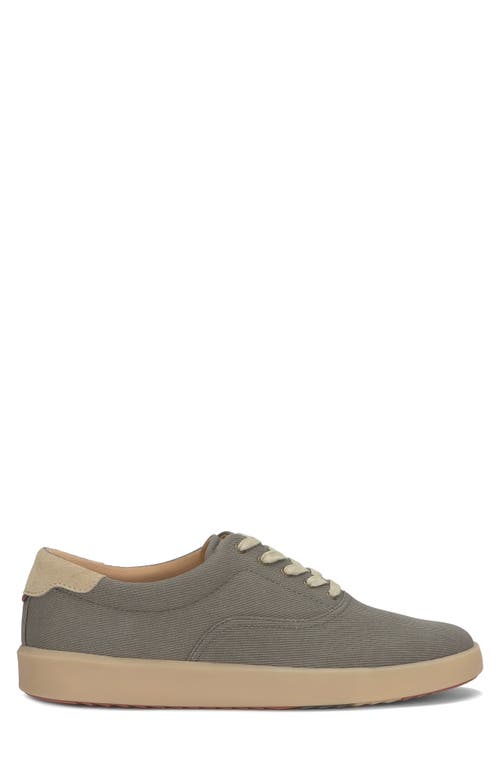 Vince Camuto Nery's Sneaker In Brownstone