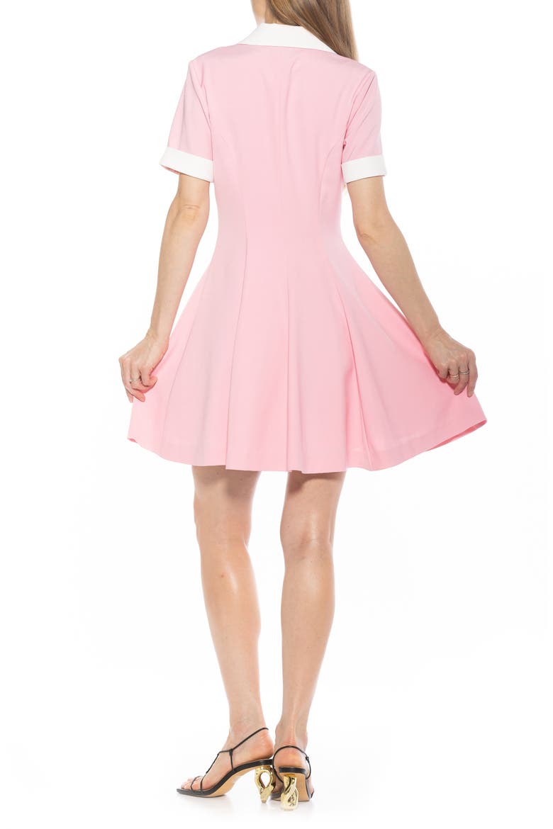 Linus Short Sleeve Fit & Flare Shirtdress, Alternate, color, PINK