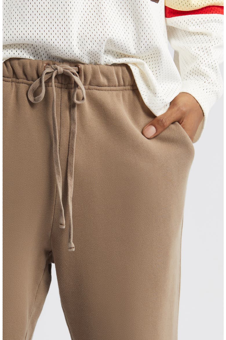 Core Organic Cotton Straight Leg Sweatpants, Alternate, color, VINTAGE BROWN