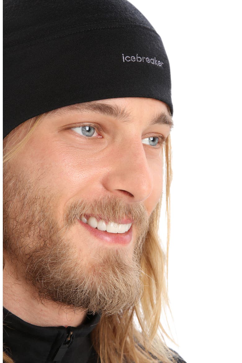 Quantum Merino Wool Lined Beanie, Alternate, color, BLACK/ CLOVE