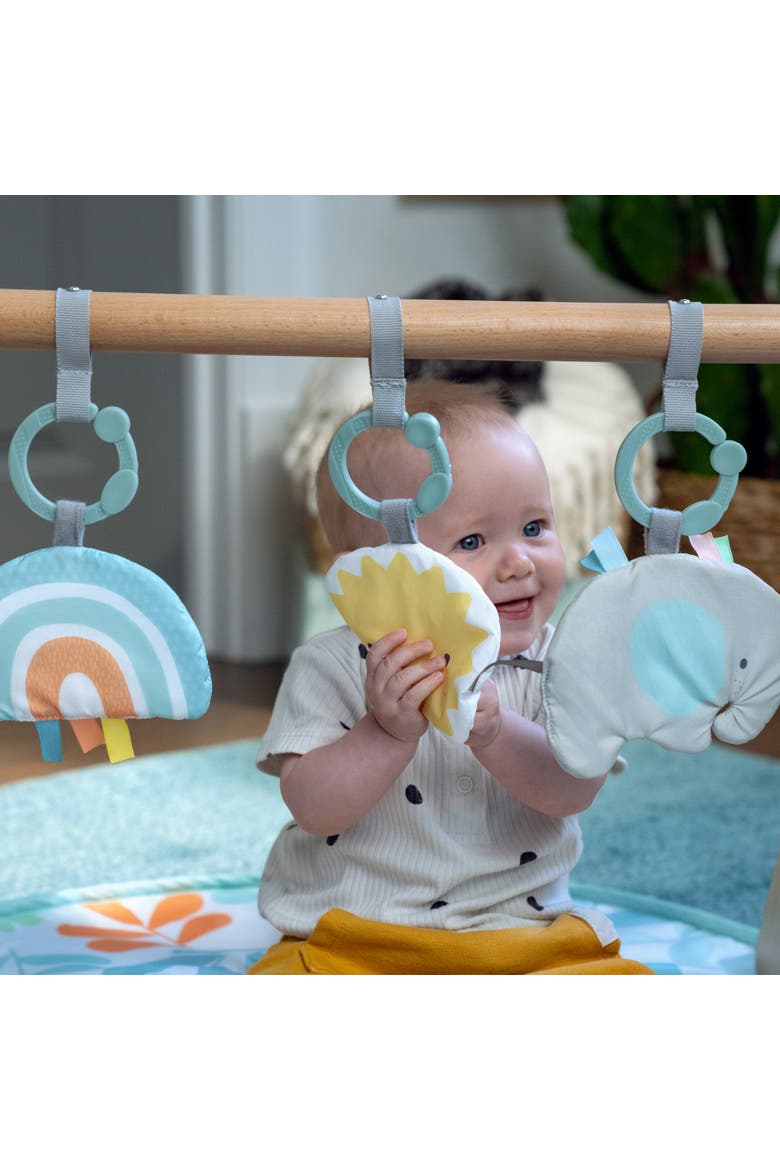 Sun Valley Wooden Toy Arch & Baby Play Mat, Alternate, color, BABY BLUE