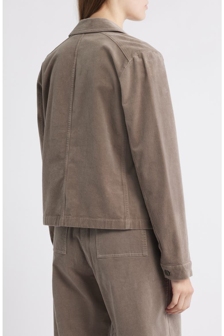 Short Rider Jacket, Alternate, color, TAUPE