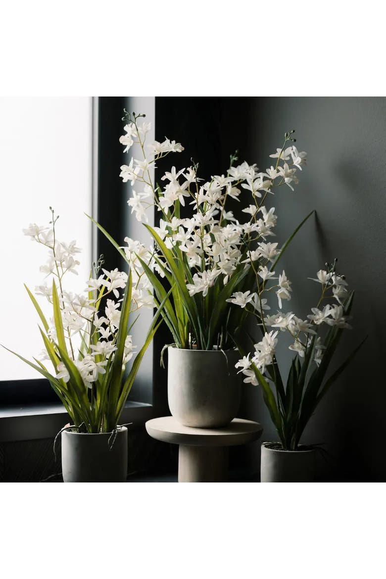 20.5" Artificial White Orchid in Stone-Grey Vanda Pot, Alternate, color, White