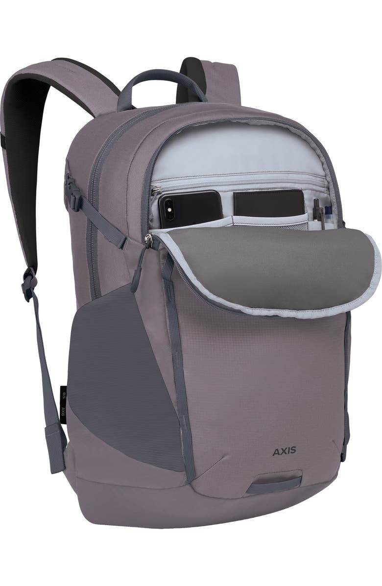 Osprey Axis 24-Liter Backpack, Alternate, color, Soundwave Grey