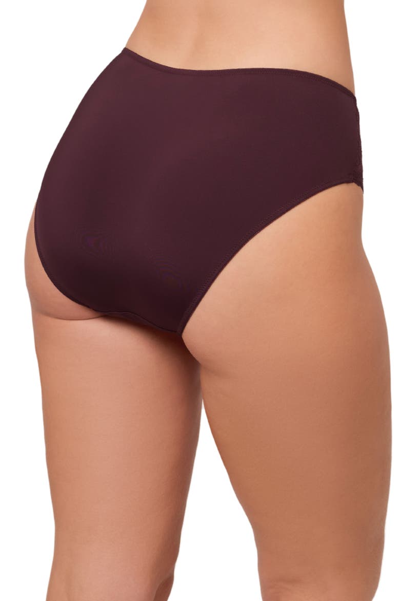 Lace & Microfiber Briefs, Alternate, color, FUDGE