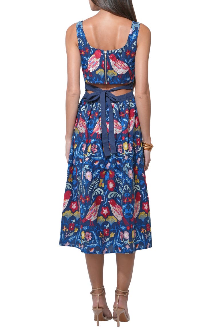 Kaili Embroidered Cotton Midi Dress, Alternate, color, BLUE MULTI
