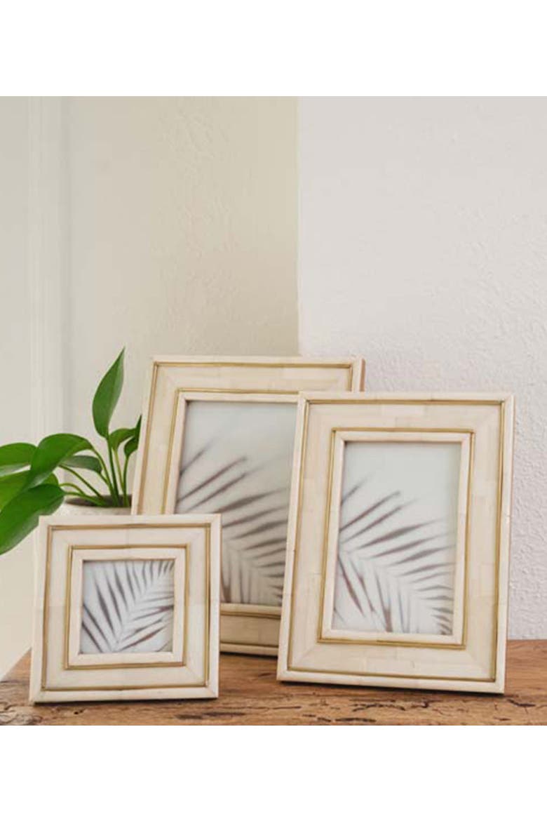 Pravina Picture Frame - Carved Bone, Brass Inlay, Alternate, color, Bone - 4x6