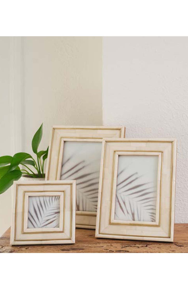 Matr Boomie Pravina Picture Frame - Carved Bone, Brass Inlay, Alternate, color, Bone - 4X6