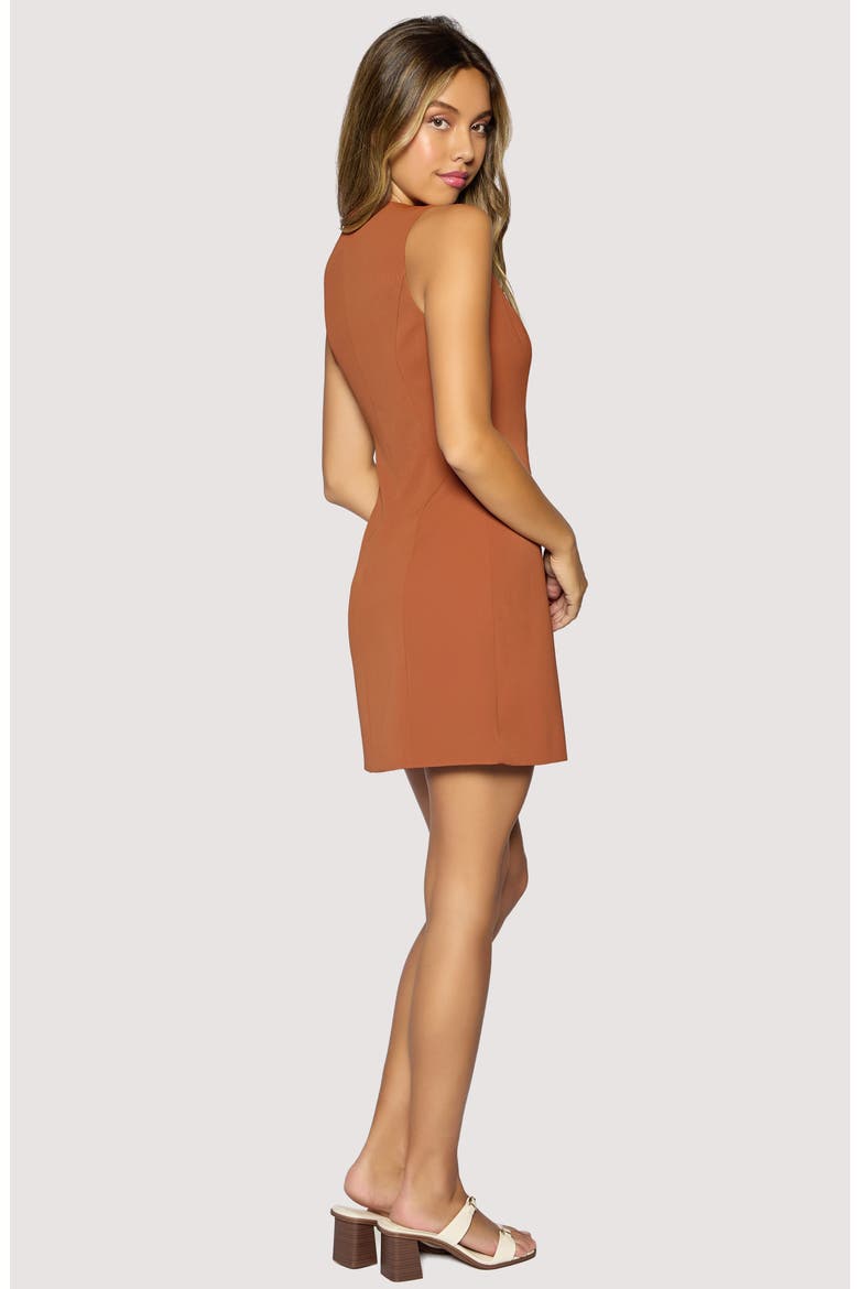 Stroll in Madrid Minidress, Alternate, color, BROWN