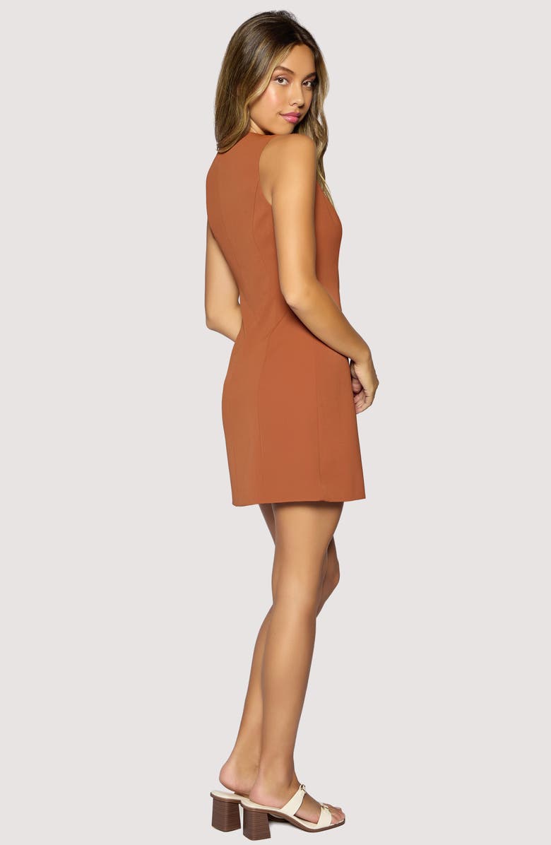 Lost + Wander Stroll in Madrid Minidress, Alternate, color, Brown