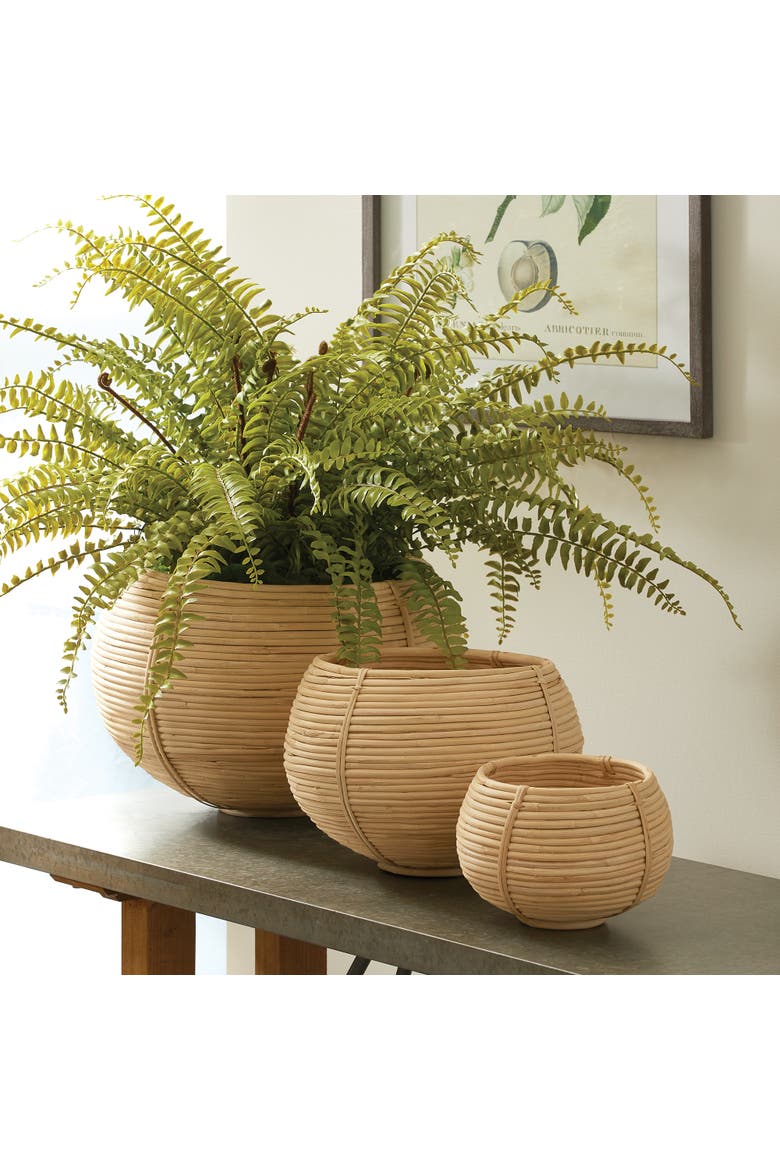 Cane Rattan Plant Baskets Set of 3, Alternate, color, Brown