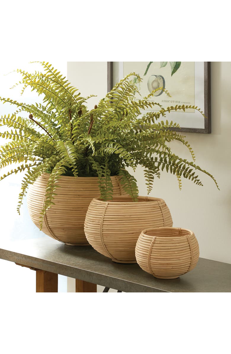 Napa Home & Garden Cane Rattan Plant Baskets Set of 3, Alternate, color, Brown