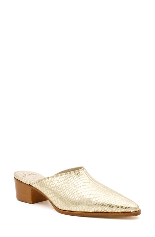 Amalfi By Rangoni Pensiero Pointed Toe Mule In Platino Alabama