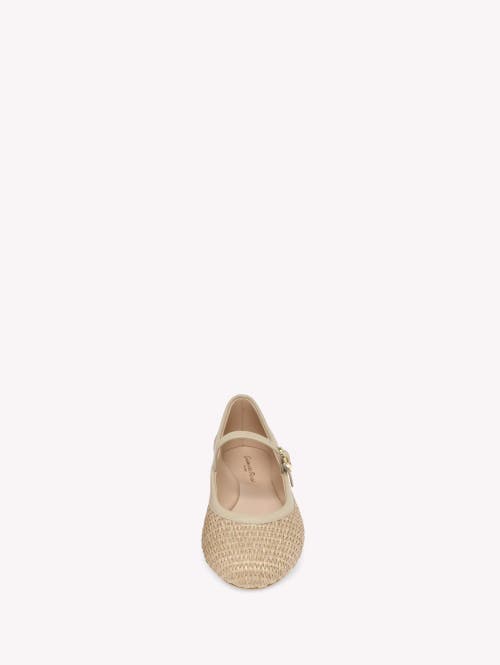 Shop Gianvito Rossi Carla Ballerina In Beige Textile