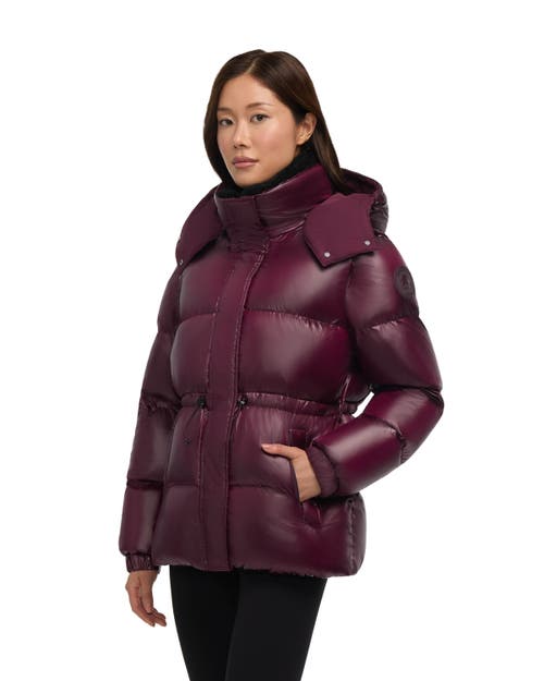 Pajar Halo Puffer With Removable Hood In Purple