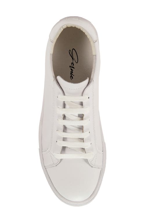 Gernie 36s Low Top Sneaker In White Napa