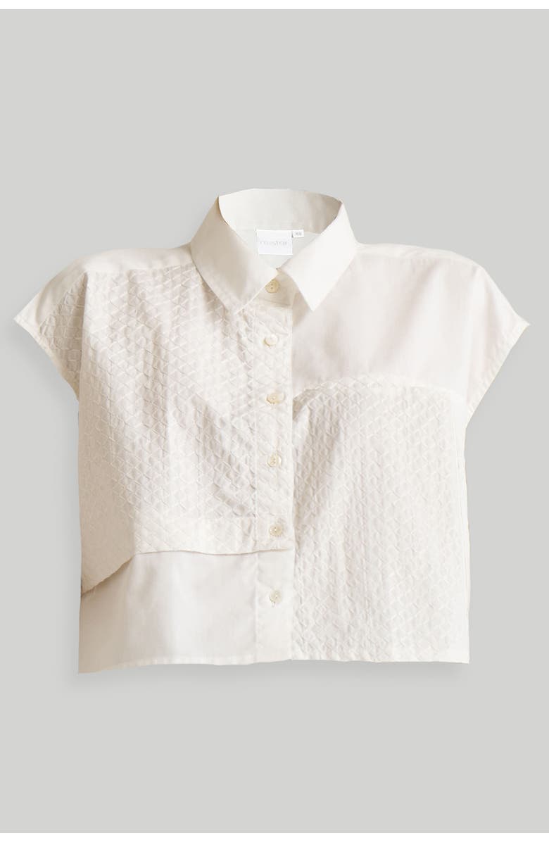 Reistor Women's Embroidered Panel Crop Top White Large, Alternate, color, White