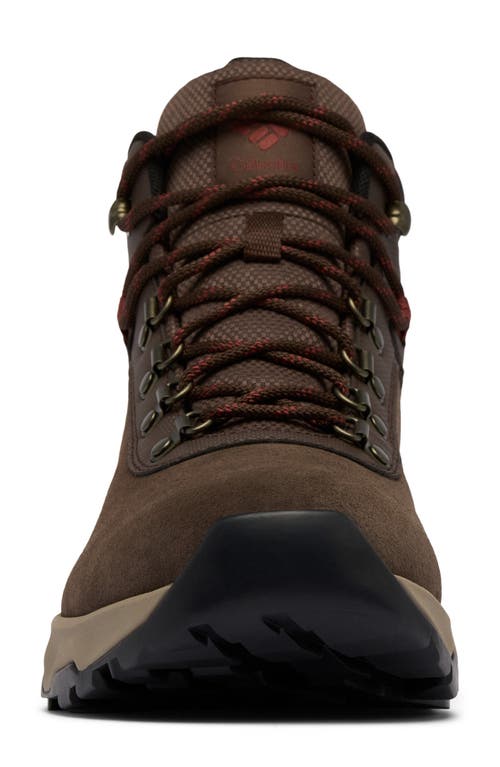 Columbia Newton Wander™ Waterproof Hiking Boot In Cordovan/spice