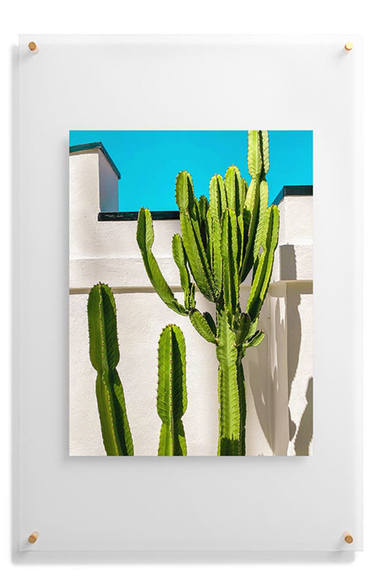 Deny Designs South Pasadena Cactus Floating Art Print, Alternate, color, 