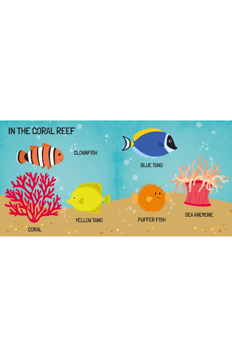 Sassi Q Box The Sea Read Play Learn Underwater 40 Piece Set, Alternate, color, Multicolored