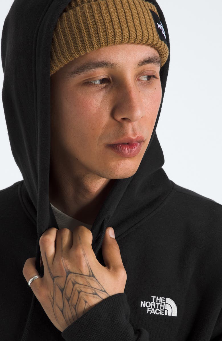 The North Face Evolution Half Dome Pullover Hoodie, Alternate, color, 