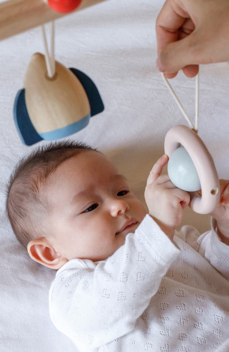 PlanToys<sup>®</sup> Orchard Collection Play Gym, Alternate, color, Brown