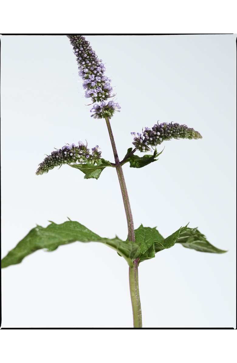 Burberry Mr. Burberry Indigo Eau de Toilette, Alternate, color, 