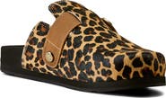 Ariat Country Leather Mule