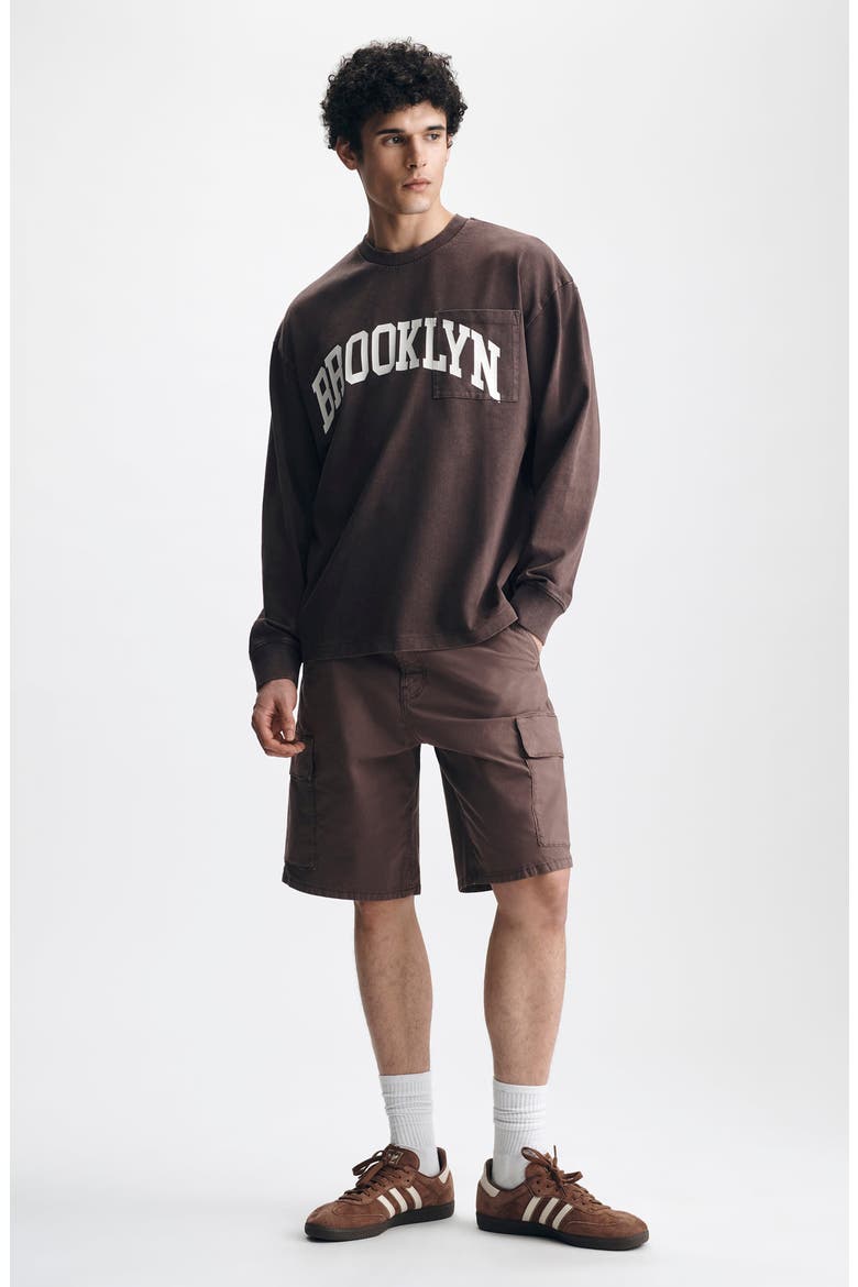 Loose Fit Collegiate Logo Cotton Graphic Long Sleeve T-Shirt, Alternate, color, FRENCH ROAST