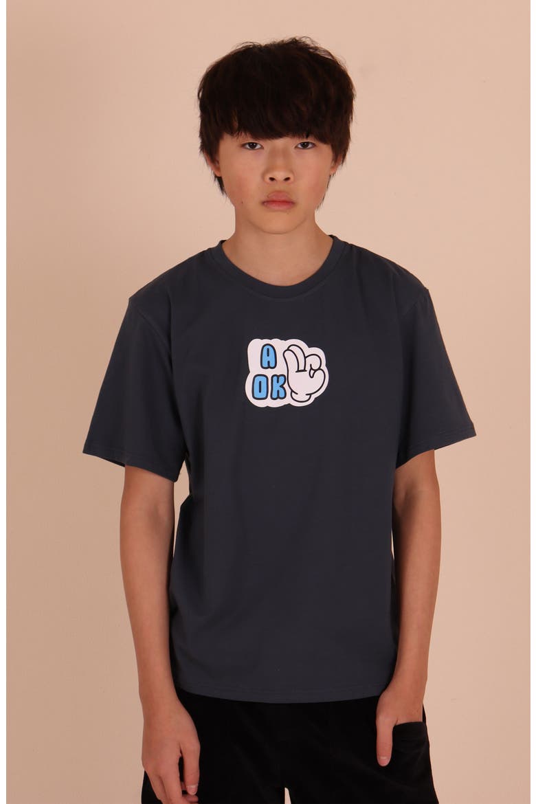 Kids' A-OK Graphic T-Shirt, Alternate, color, BLUE