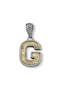 Silver/Gold G