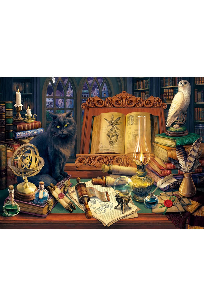 Magic Library 500 piece Jigsaw Puzzle for Adults, Alternate, color, Multicolor