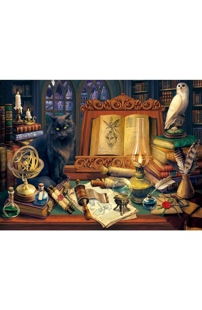 Sunsout Magic Library 500 piece Jigsaw Puzzle for Adults, Alternate, color, Multicolor