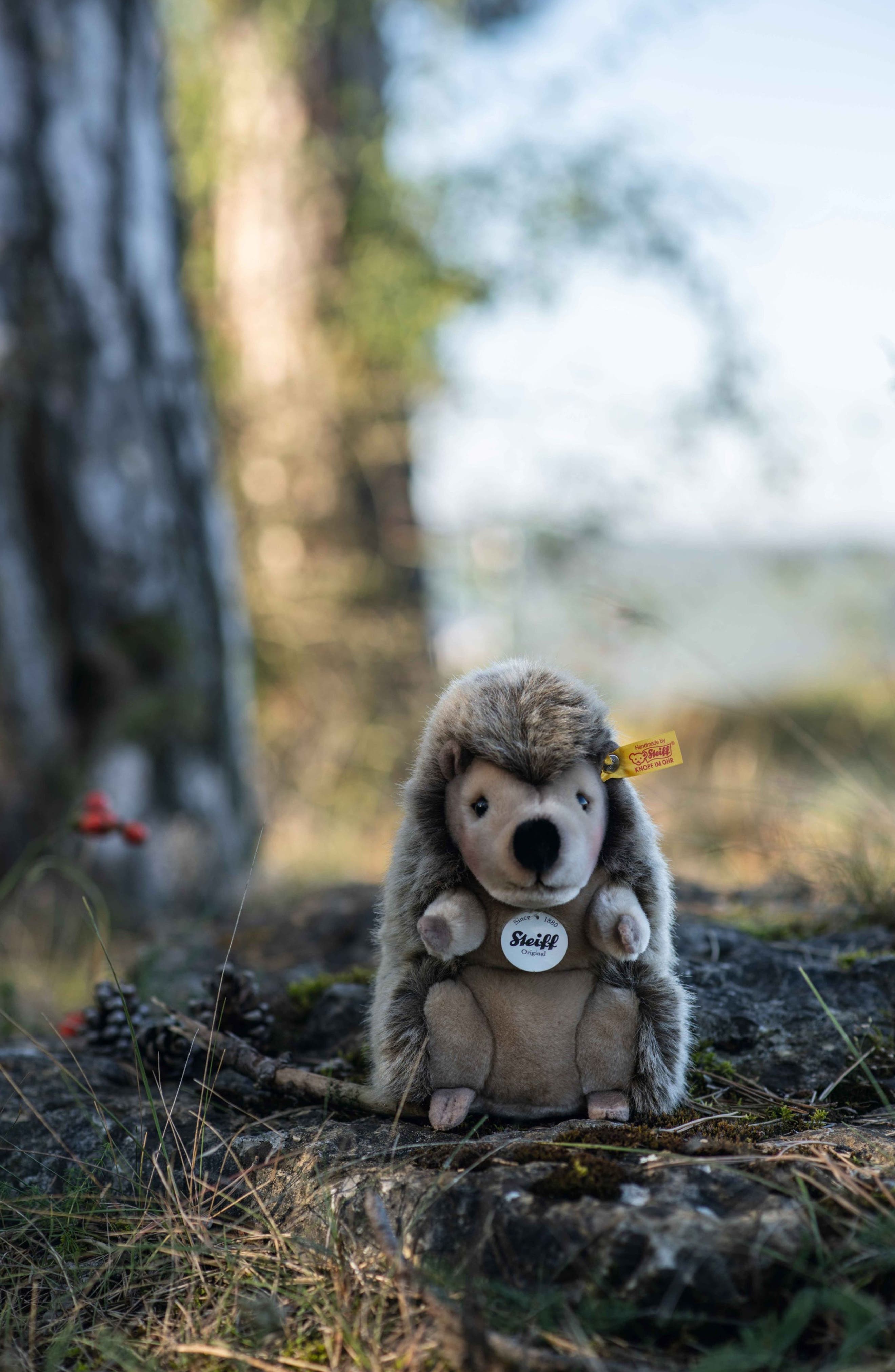 Steiff Joggi Hedgehog Stuffed Animal | Nordstromrack