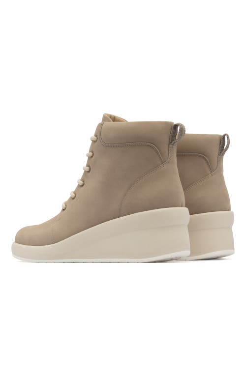 Abeo Passage Lace Up Boot In Beige - Regular
