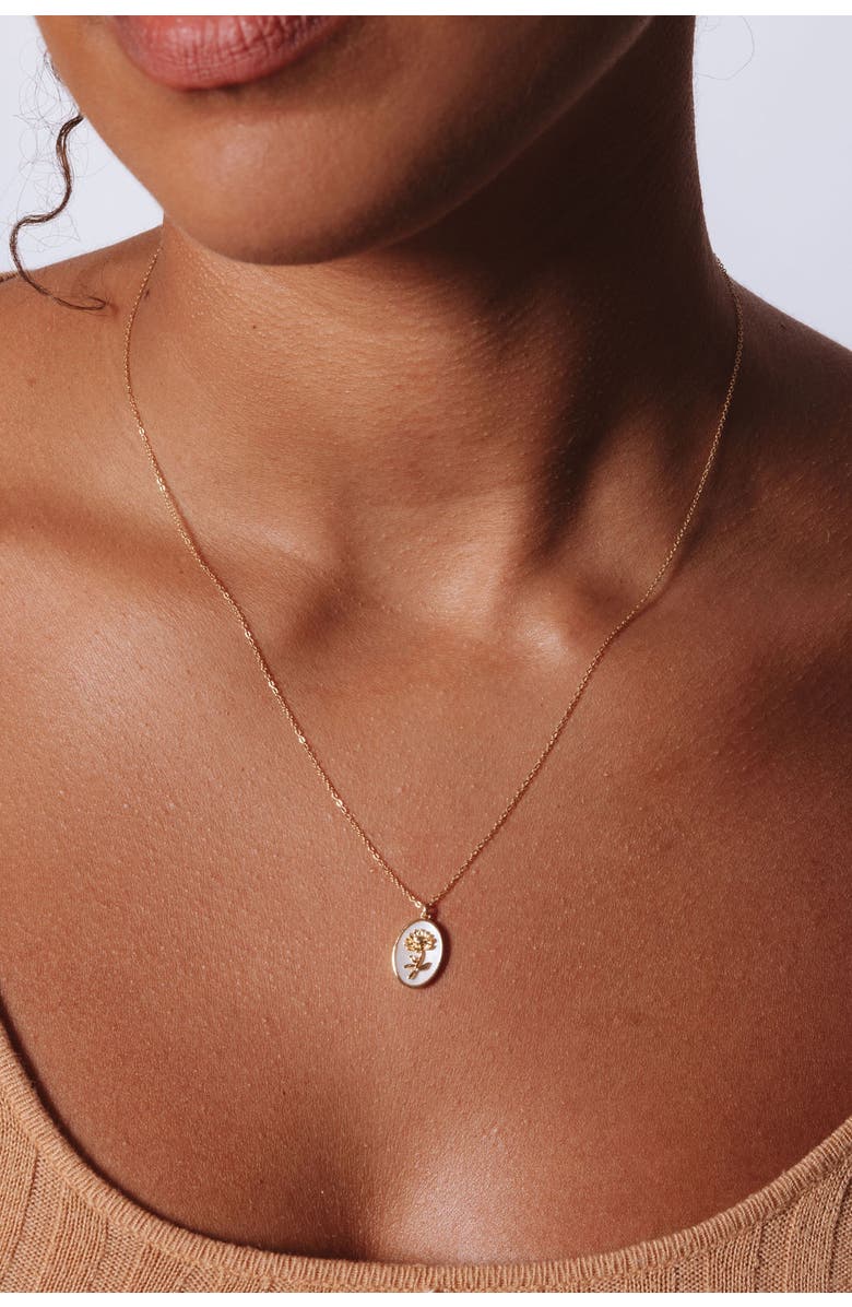 Set & Stones Katrina Birth Flower Necklace, Alternate, color, Gold / June