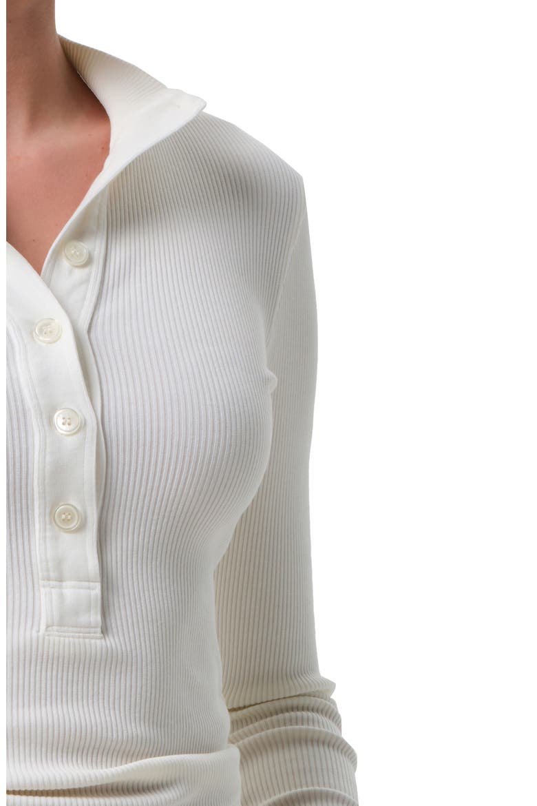 Sheena Long Sleeve Rib Polo, Alternate, color, PASHMINA OFF W