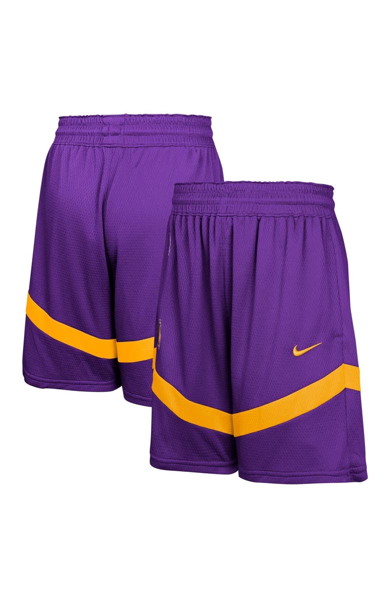 Nike Youth Nike Purple Los Angeles Lakers Practice Mesh Shorts, Alternate, color, 