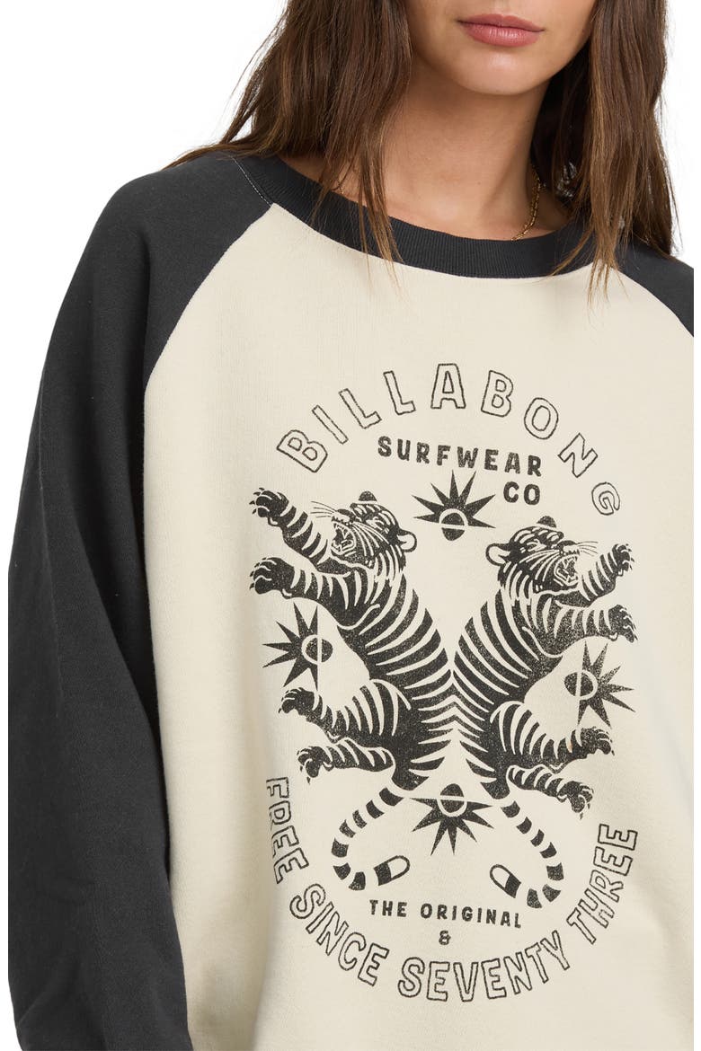Emmers Raglan Sleeve Sweatshirt, Alternate, color, BLACK SANDS