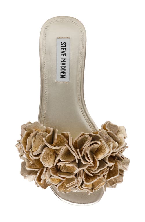 Shop Steve Madden Flo Slide Sandal In Gold