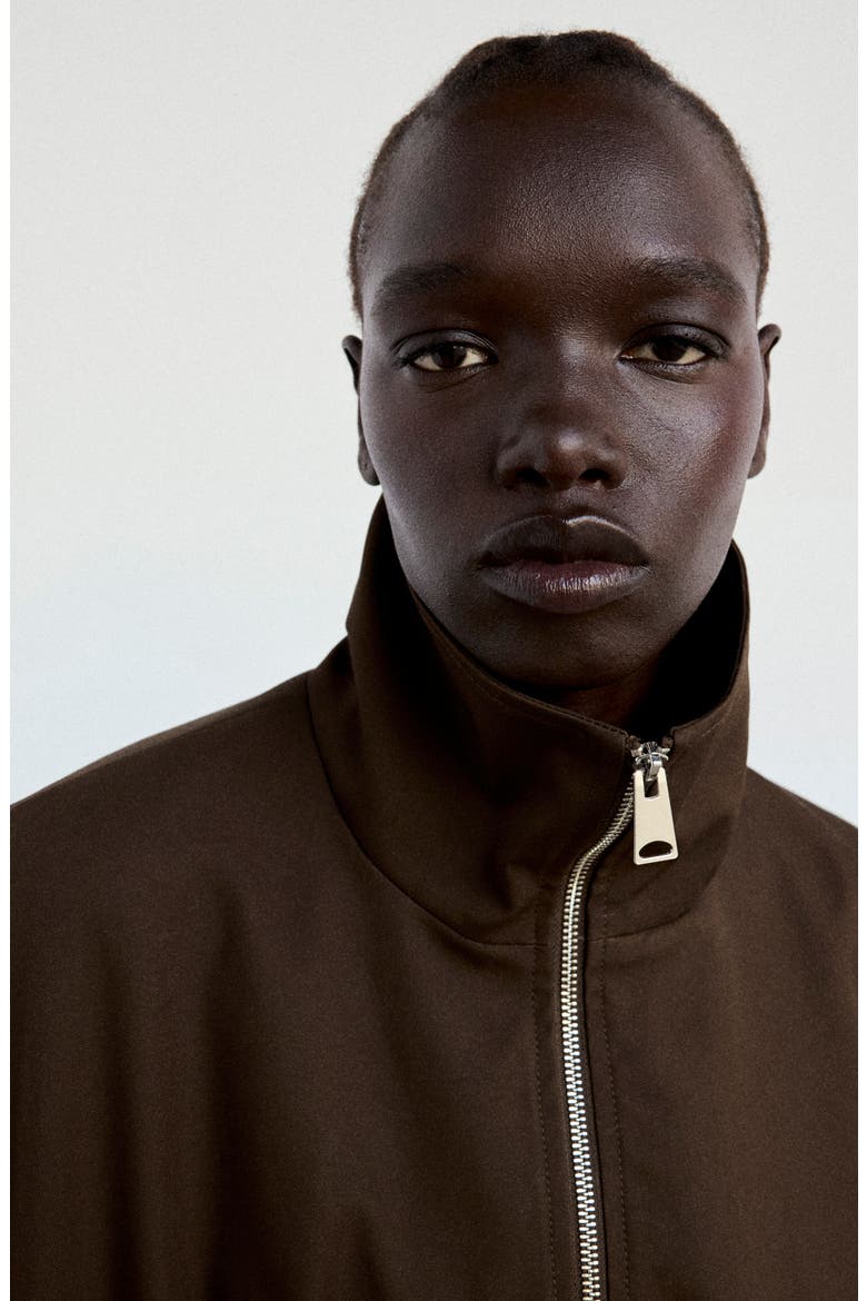 Oversize Stand Collar Jacket, Alternate, color, CHOCOLATE