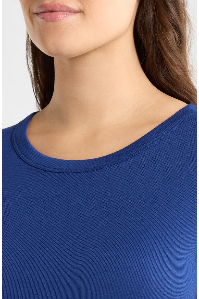 Rib Crewneck Organic Cotton T-Shirt, Alternate, color, DEEP DIVE