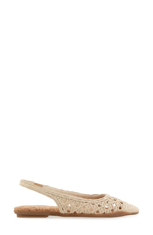 AEROSOLES AEROSOLES DIEGO SLINGBACK POINTED CAP TOE RAFFIA FLAT 