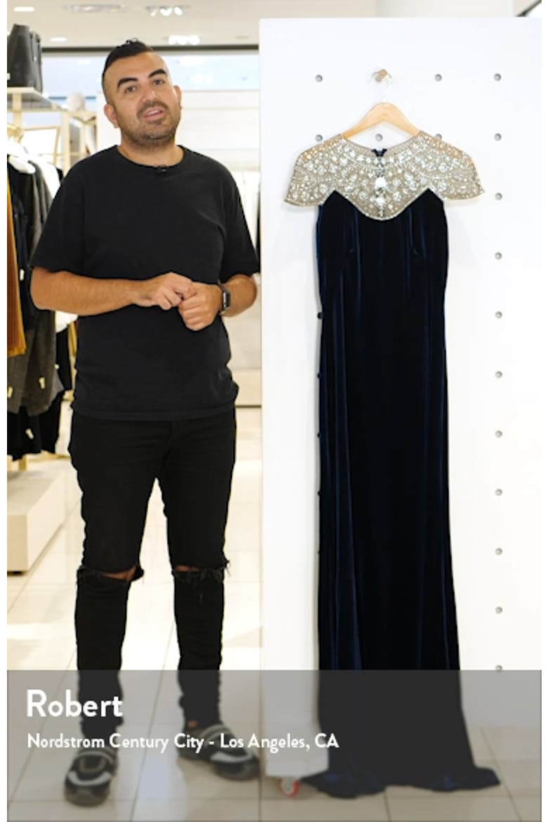 Embellished Velvet Gown video